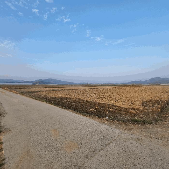 경상북도 김천시 답