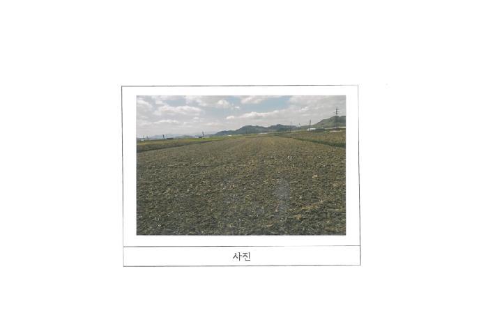 경상북도 김천시 아포읍 의리 928 답 경매 사진 2
