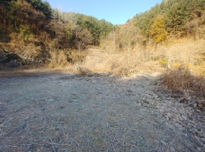충청남도 금산군 진산면 읍내리 731 전 경매 사진 16