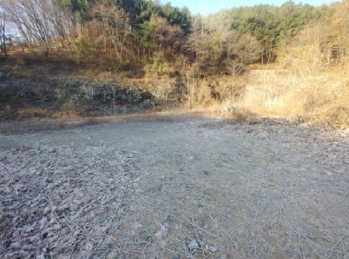 충청남도 금산군 진산면 읍내리 731 전 경매 사진 17