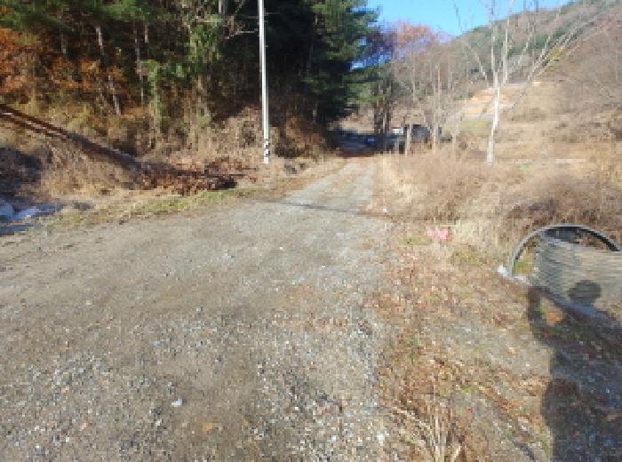 충청남도 금산군 진산면 읍내리 731 전 경매 사진 19
