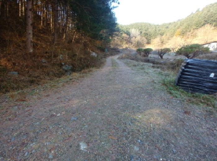 충청남도 금산군 진산면 읍내리 731 전 경매 사진 20