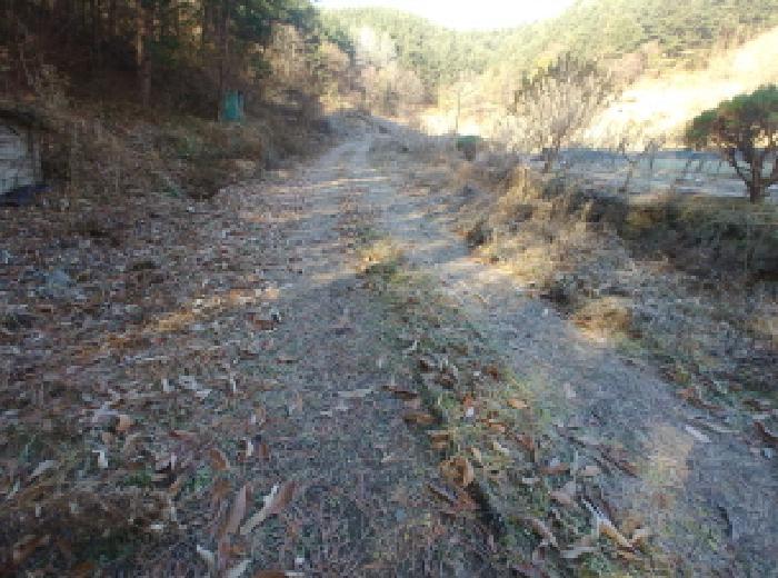 충청남도 금산군 진산면 읍내리 731 전 경매 사진 21