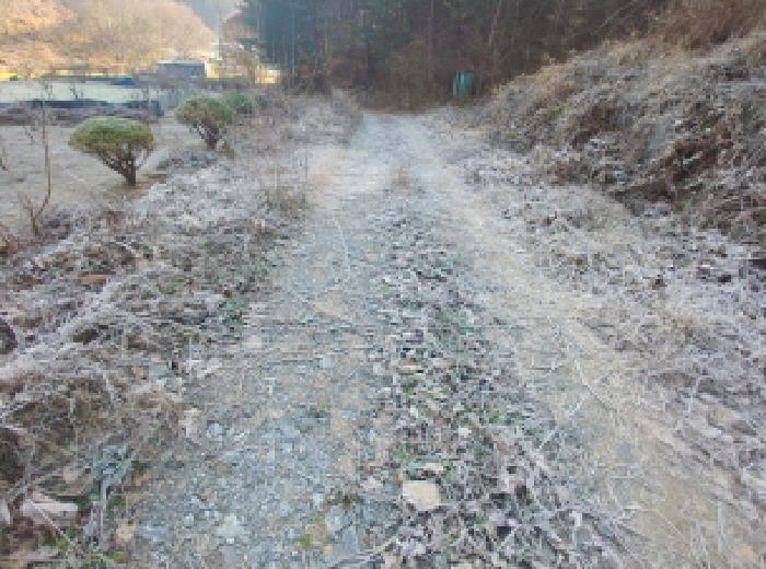 충청남도 금산군 진산면 읍내리 731 전 경매 사진 22