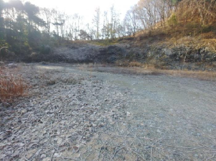 충청남도 금산군 진산면 읍내리 731 전 경매 사진 23