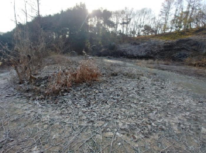 충청남도 금산군 진산면 읍내리 731 전 경매 사진 24
