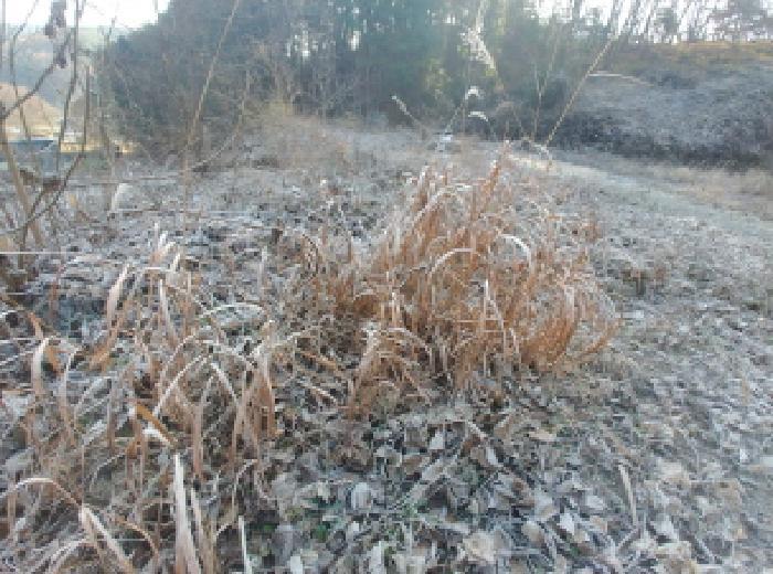 충청남도 금산군 진산면 읍내리 731 전 경매 사진 25