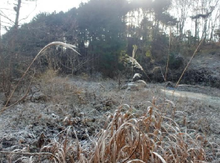 충청남도 금산군 진산면 읍내리 731 전 경매 사진 26