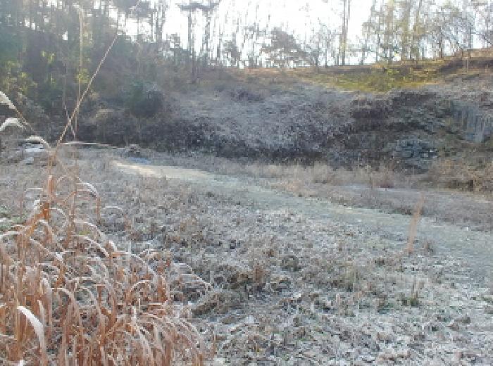 충청남도 금산군 진산면 읍내리 731 전 경매 사진 27