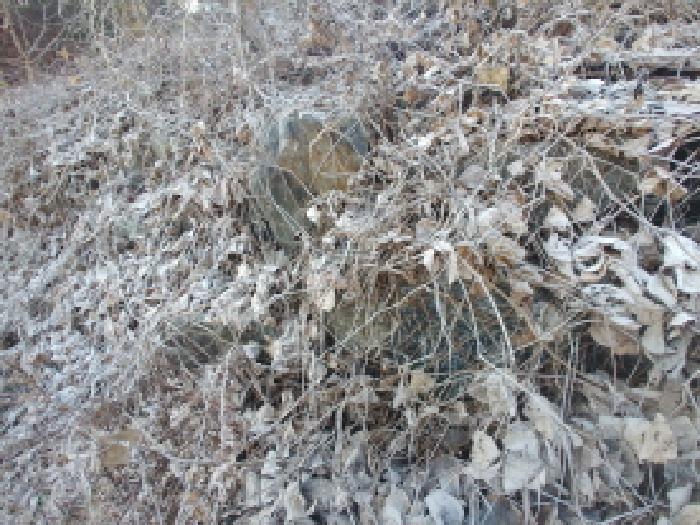충청남도 금산군 진산면 읍내리 731 전 경매 사진 28