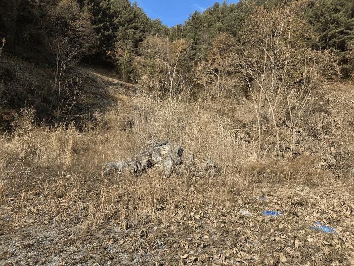 충청남도 금산군 진산면 읍내리 731 전 경매 사진 3