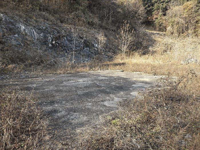 충청남도 금산군 진산면 읍내리 731 전 경매 사진 4