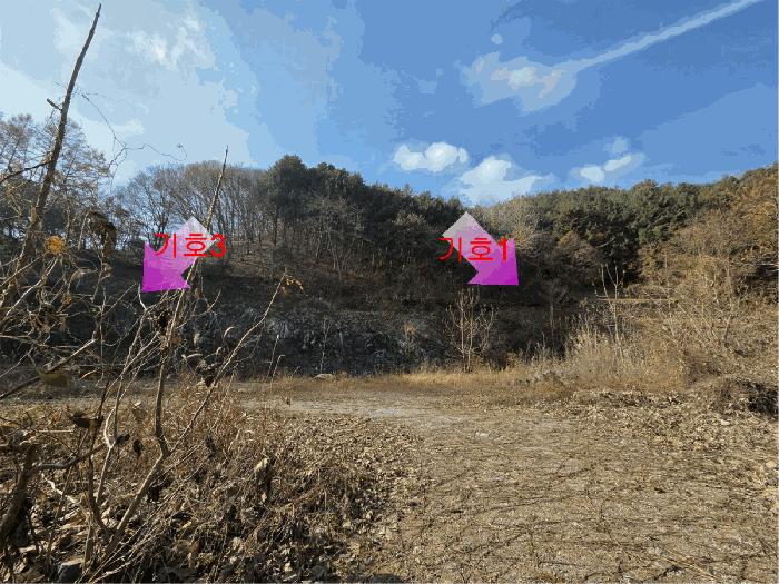 충청남도 금산군 진산면 읍내리 731 전 경매 사진 6