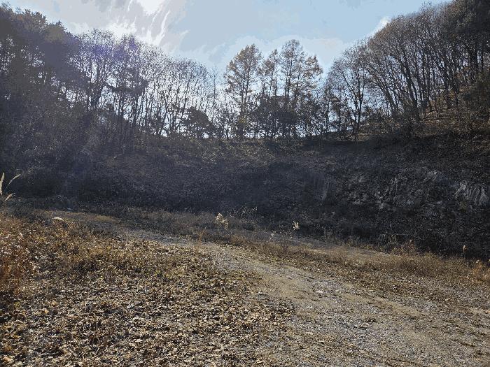 충청남도 금산군 진산면 읍내리 731 전 경매 사진 7