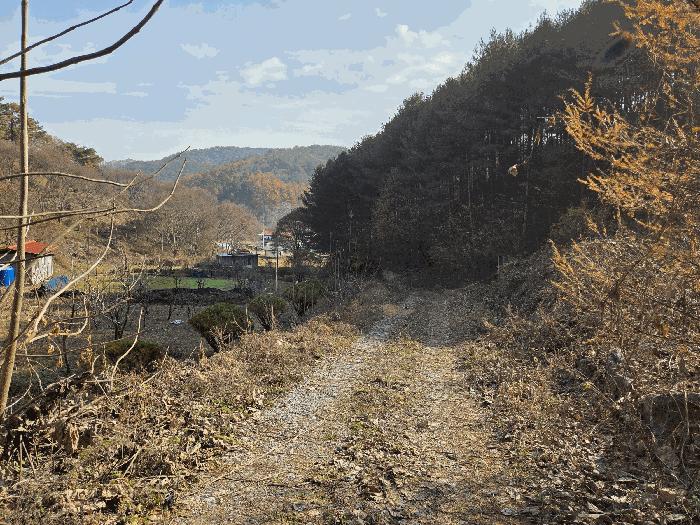 충청남도 금산군 진산면 읍내리 731 전 경매 사진 8