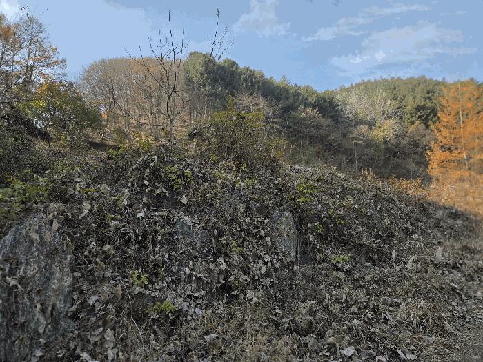 충청남도 금산군 진산면 읍내리 731 전 경매 사진 9