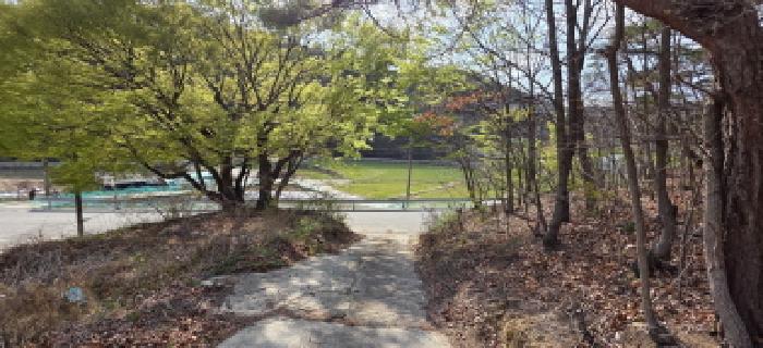 경상북도 구미시 장천면 오로리 524-1 임야 경매 사진 6