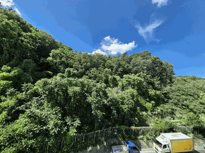 대구광역시 달서구 이곡동 산26 임야 경매 사진 1