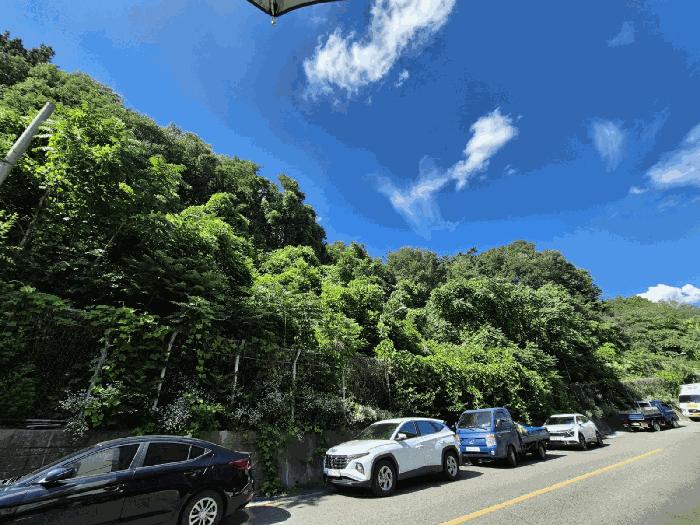 대구광역시 달서구 이곡동 산26 임야 경매 사진 2
