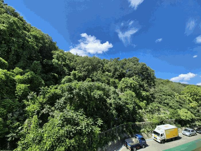 대구광역시 달서구 이곡동 산26 임야 경매 사진 4