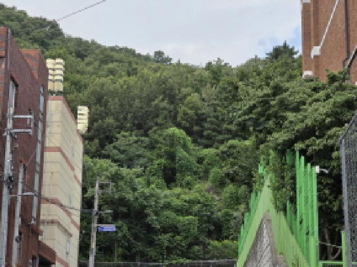 대구광역시 달서구 이곡동 산26 임야 경매 사진 6