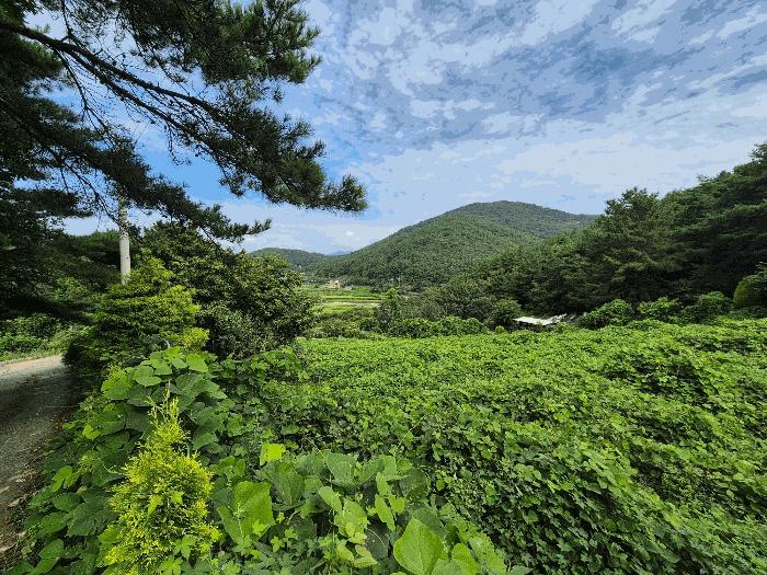 경상남도 창원시 마산합포구 답