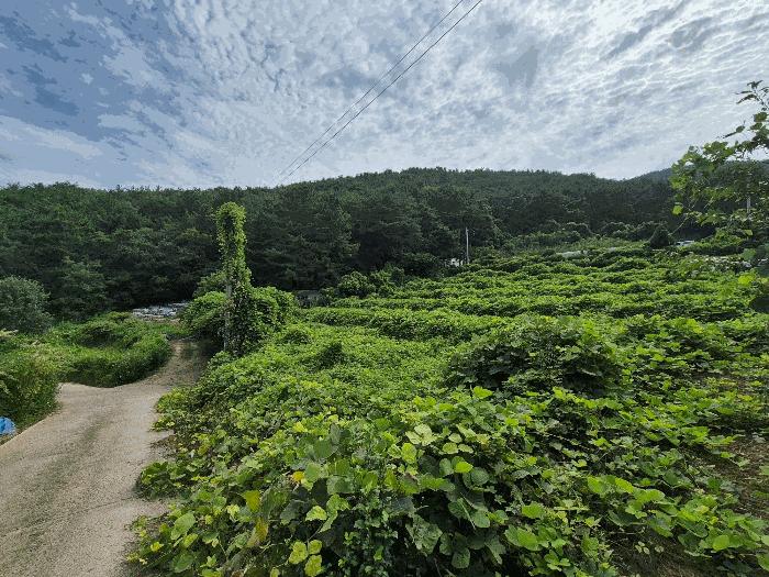 경상남도 창원시 마산합포구 구산면 석곡리 191-3 답 경매 사진 2