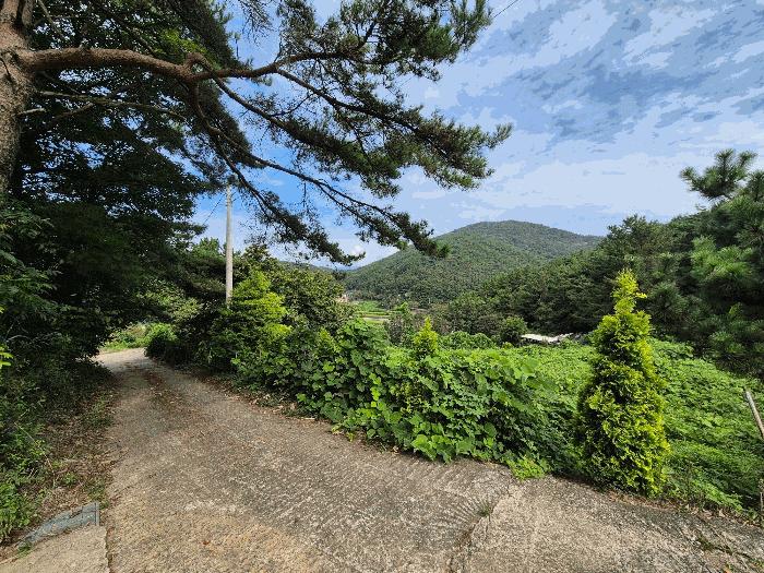 경상남도 창원시 마산합포구 구산면 석곡리 191-3 답 경매 사진 5