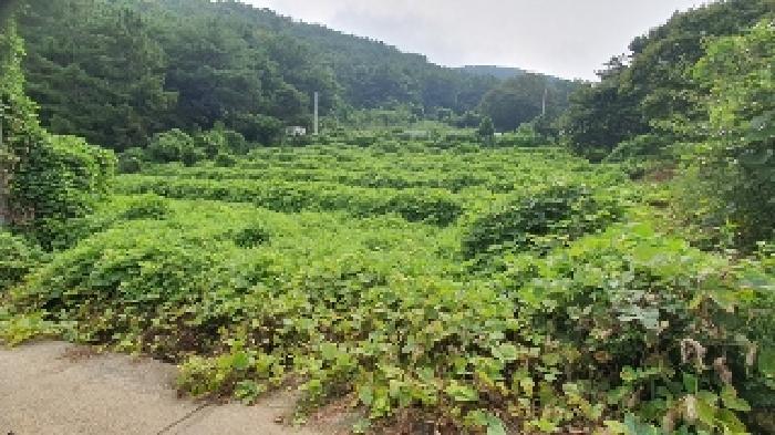 경상남도 창원시 마산합포구 구산면 석곡리 191-3 답 경매 사진 6