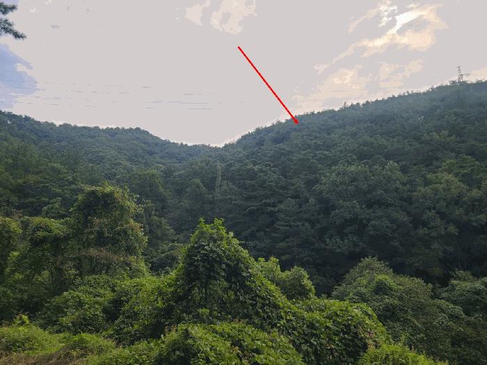 경상남도 창원시 마산회원구 임야