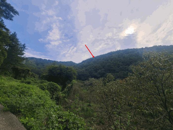 경상남도 창원시 마산회원구 내서읍 상곡리 산24 임야 경매 사진 2