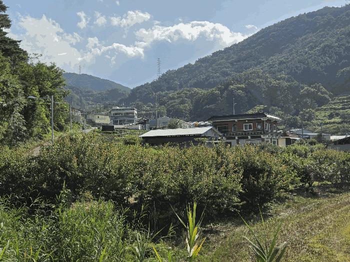 대구광역시 달성군 현풍읍 오산리 46-2 창고 경매 사진 4