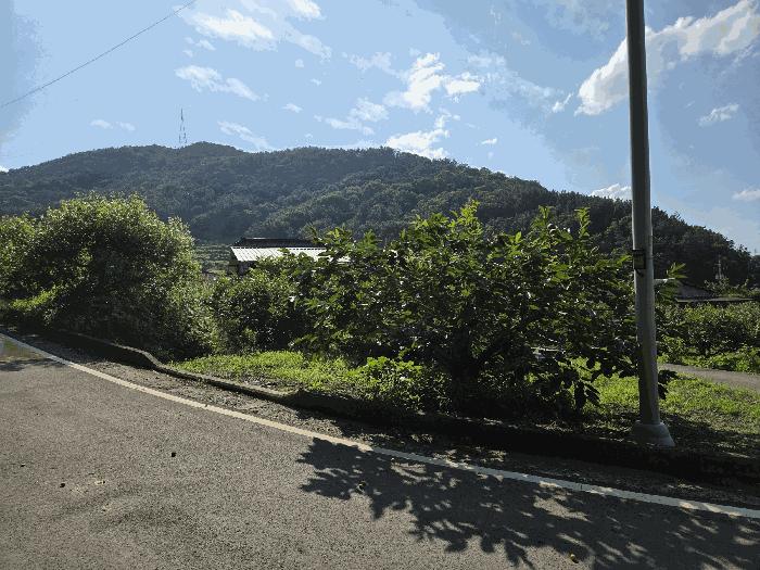 대구광역시 달성군 현풍읍 오산리 46-2 창고 경매 사진 6