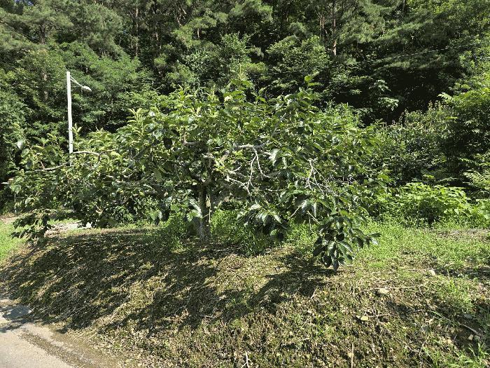 대구광역시 달성군 현풍읍 오산리 46-2 창고 경매 사진 7