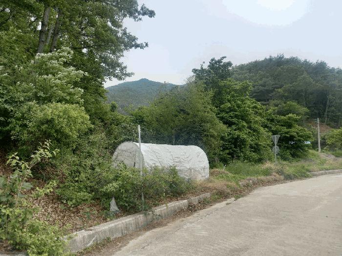 울산광역시 울주군 온양읍 외광리 713 전 경매 사진 3