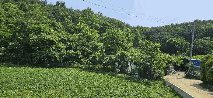 울산광역시 울주군 범서읍 구영리 594-2 전 경매 사진 4