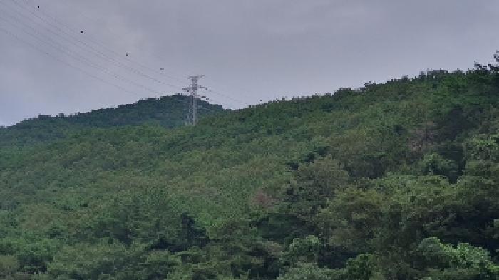 경상남도 창원시 마산합포구 진동면 태봉리 산72 임야 경매 사진 10