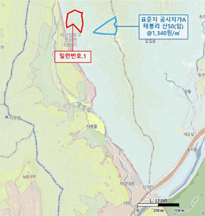 경상남도 창원시 마산합포구 진동면 태봉리 산72 임야 경매 사진 13