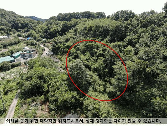 경상남도 창원시 마산합포구 진동면 태봉리 산72 임야 경매 사진 4