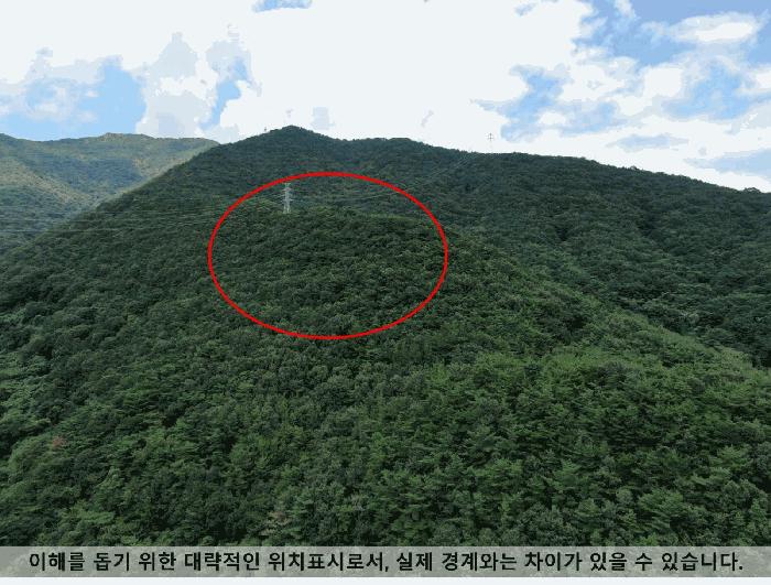 경상남도 창원시 마산합포구 진동면 태봉리 산72 임야 경매 사진 5