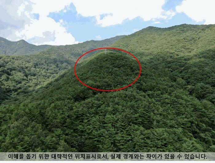 경상남도 창원시 마산합포구 진동면 태봉리 산72 임야 경매 사진 6