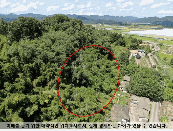 경상남도 창원시 마산합포구 진동면 태봉리 산72 임야 경매 사진 8