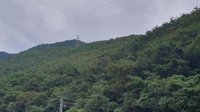 경상남도 창원시 마산합포구 진동면 태봉리 산72 임야 경매 사진 9