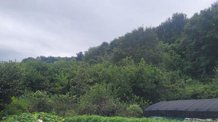 경상남도 함안군 법수면 백산리 361 전 경매 사진 11