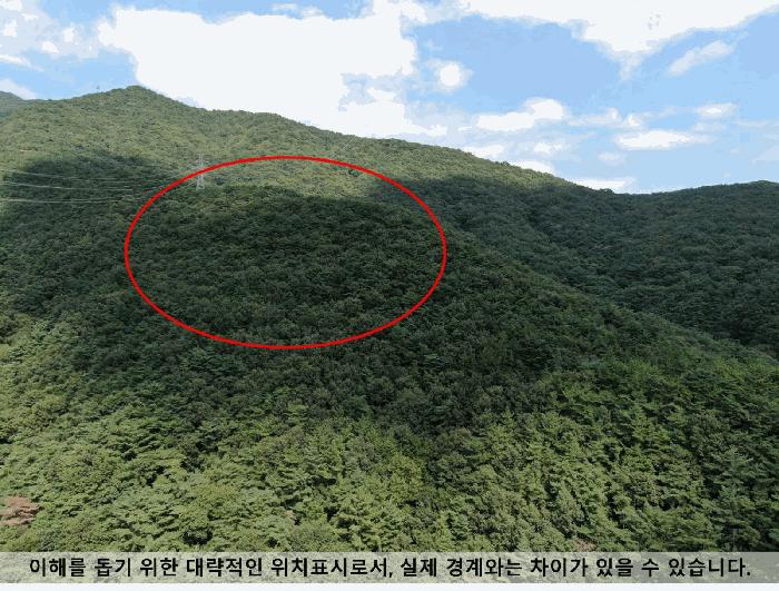 경상남도 함안군 법수면 백산리 361 전 경매 사진 2