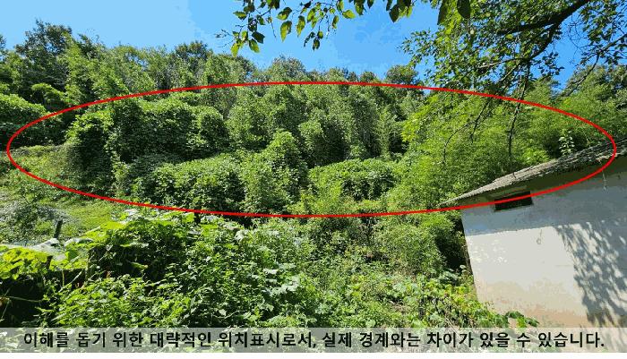 경상남도 함안군 법수면 백산리 361 전 경매 사진 7
