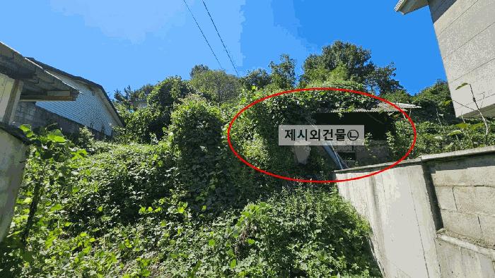 경상남도 함안군 칠서면 이룡리 1201 대지 경매 사진 4