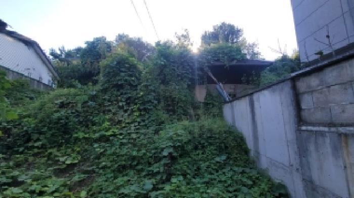 경상남도 함안군 칠서면 이룡리 1201 대지 경매 사진 5