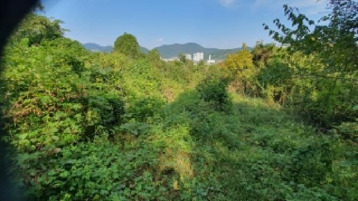경상남도 창원시 마산합포구 진동면 신기리 84 전 경매 사진 3