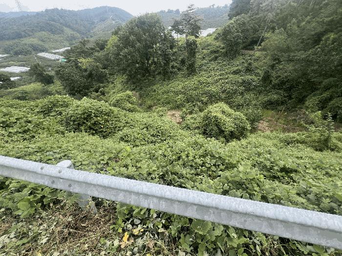 경상남도 함안군 칠북면 이령리 860-4 과수원 경매 사진 4